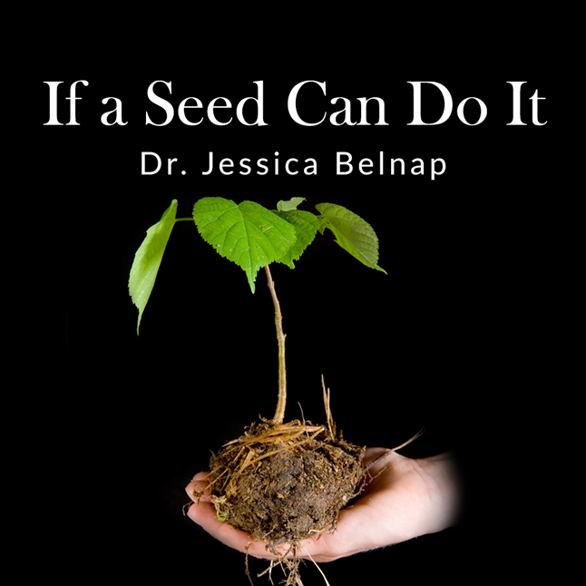 If A Seed Can Do It - Dr Jessica Belnap